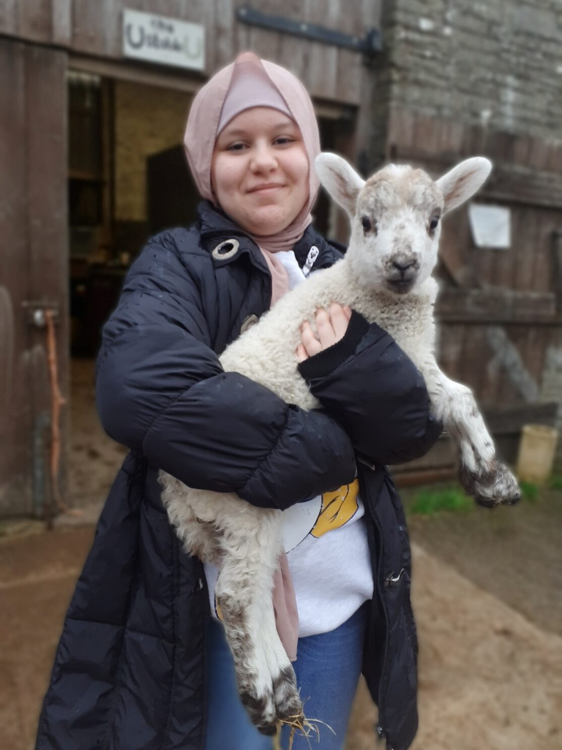 A girl wearing a headscarf holding a lamb to her chest