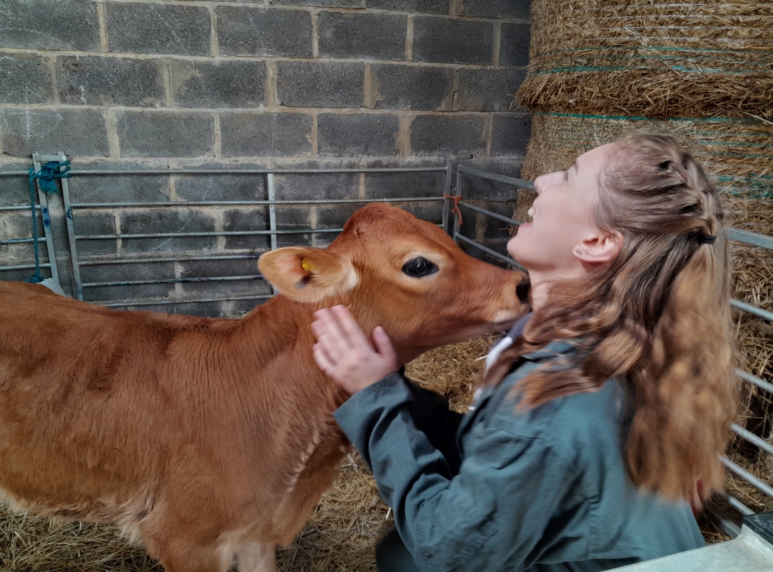 girl smiling with calf