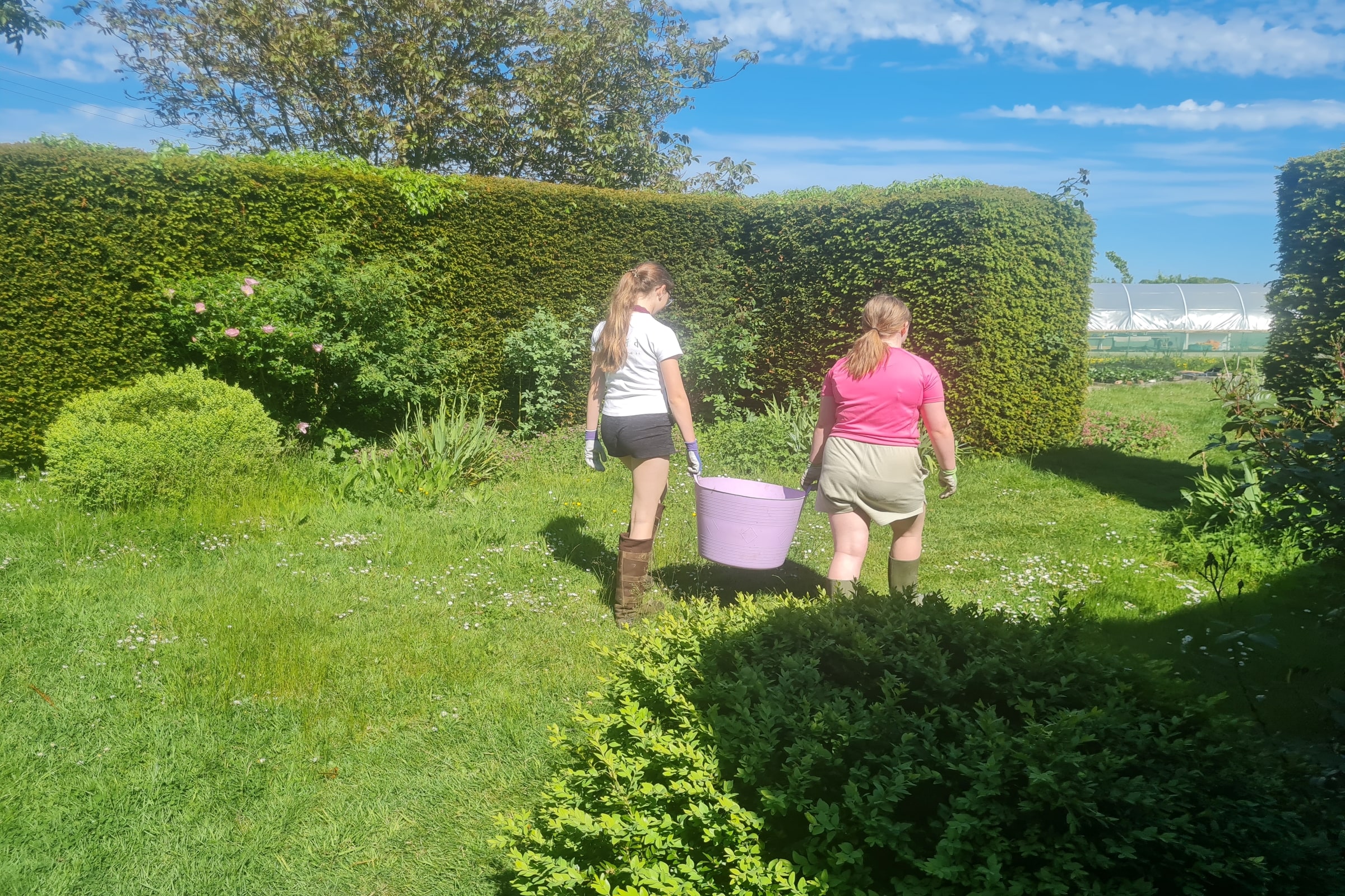 Two young people walking away holding a bucket together at the garden in Jamie's Farm Lewes