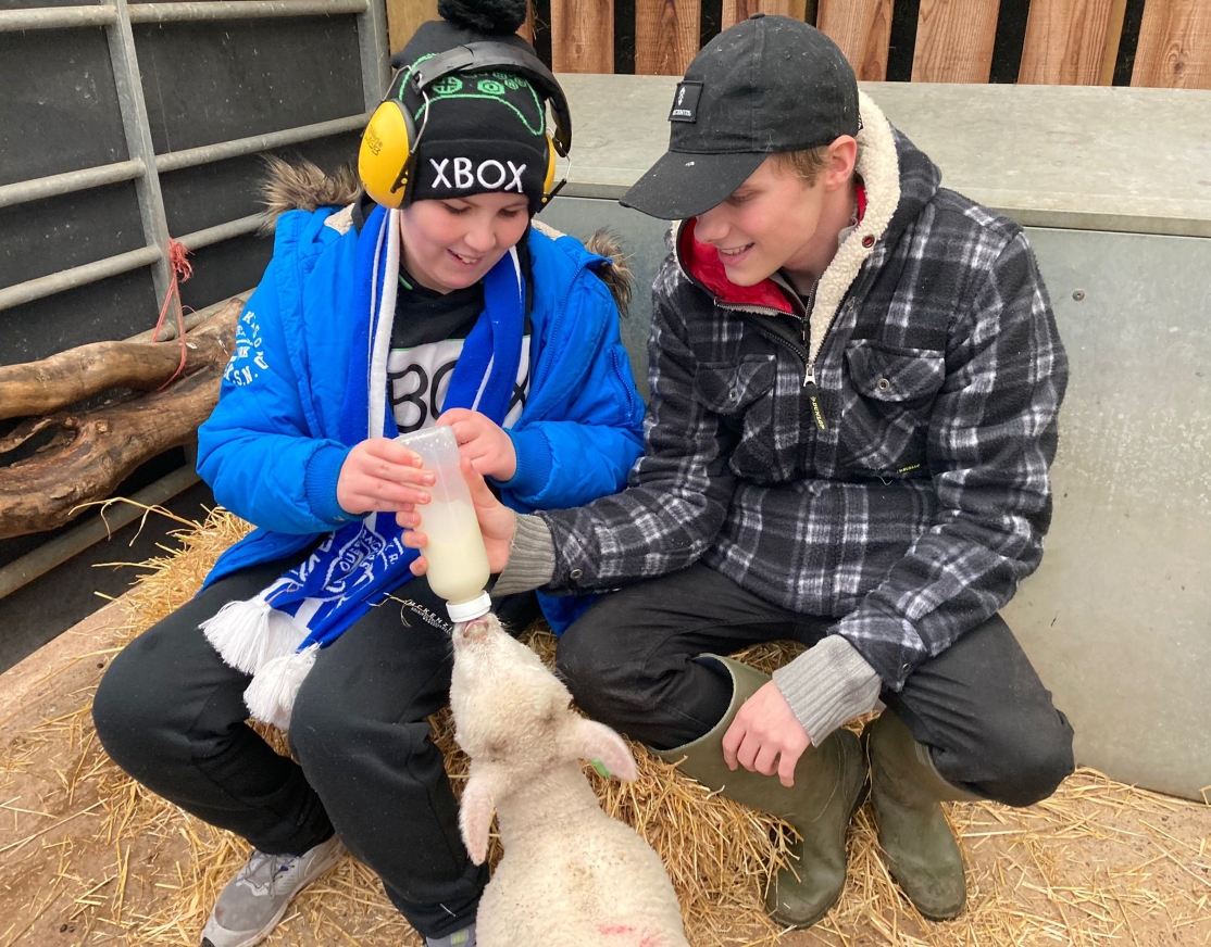 Two boys wearing headphones bottle feeding a lamb