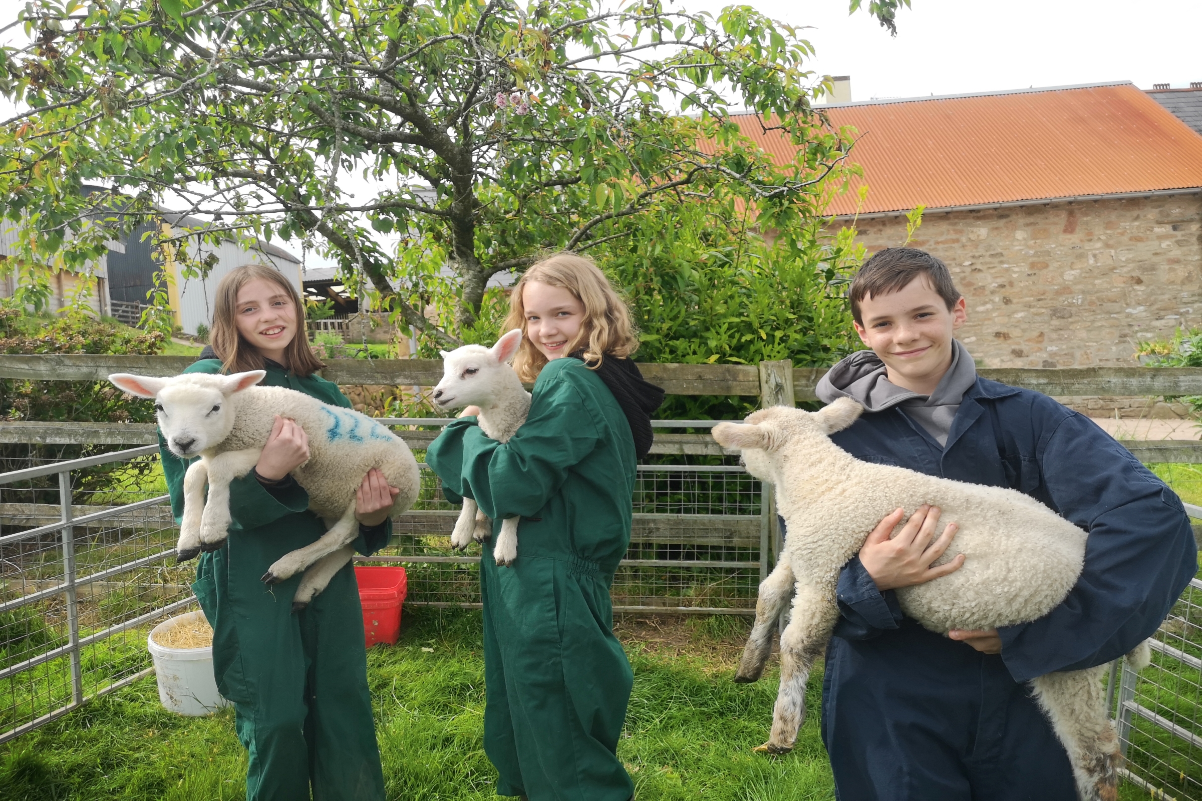 Three young people holding lambs