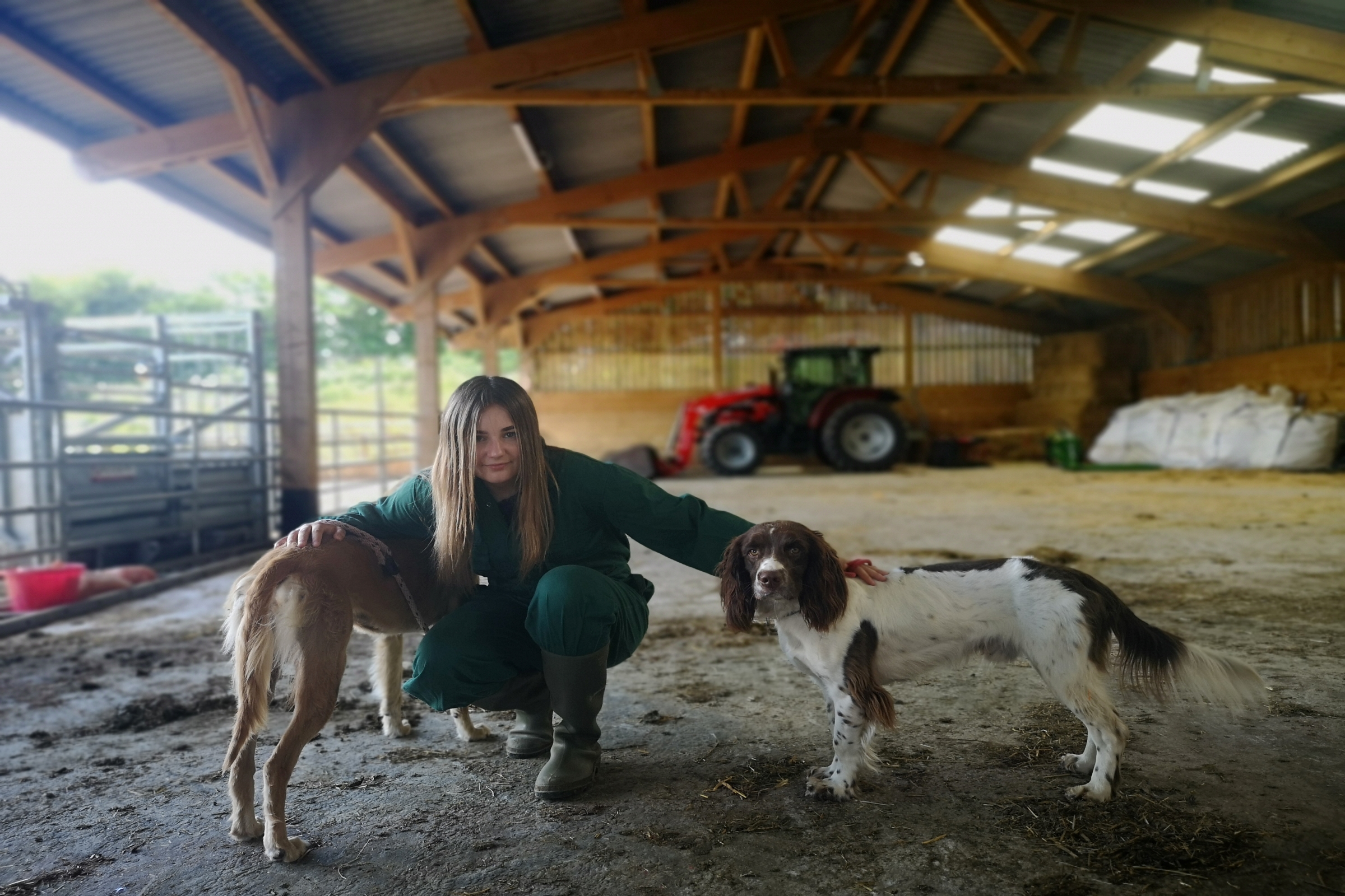 Girl holding two dogs in barn