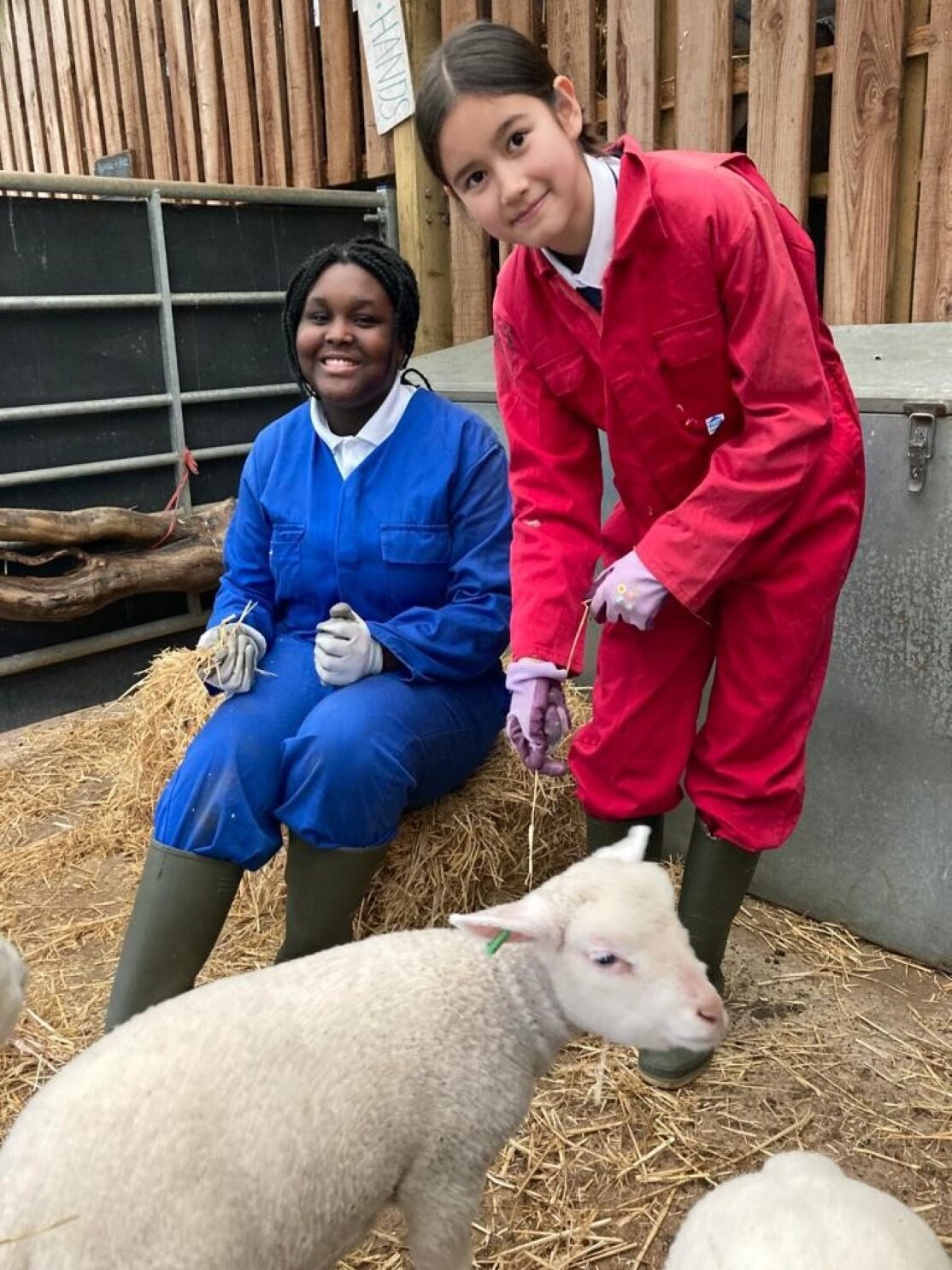 Two girls wearing overalls smiling with a lamb