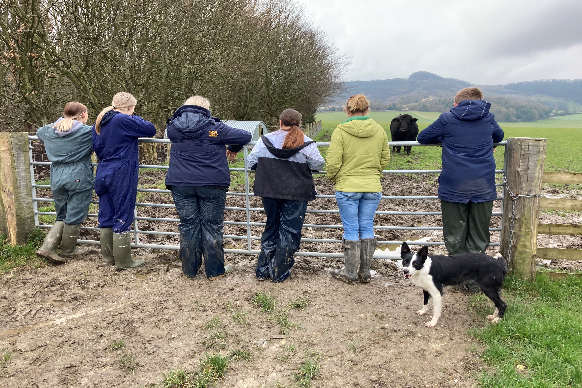 People with their backs turned stood next to a farm gate looking out across the field