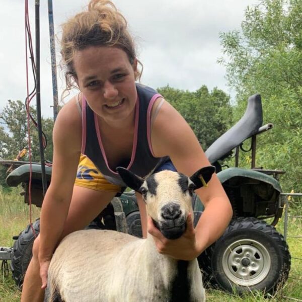 Lewes - Jamie's Farm