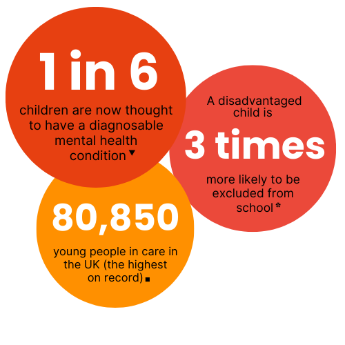 About - Jamie's Farm