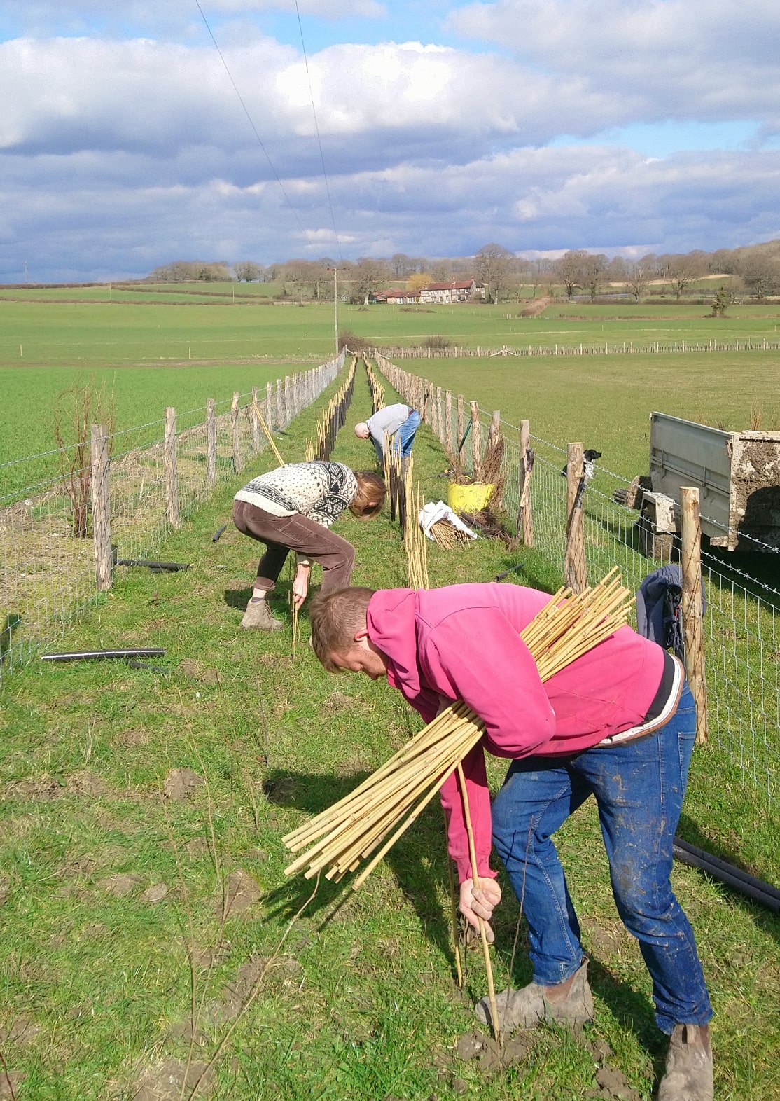 How We Farm - Regenerative Farming at Jamie's Farm