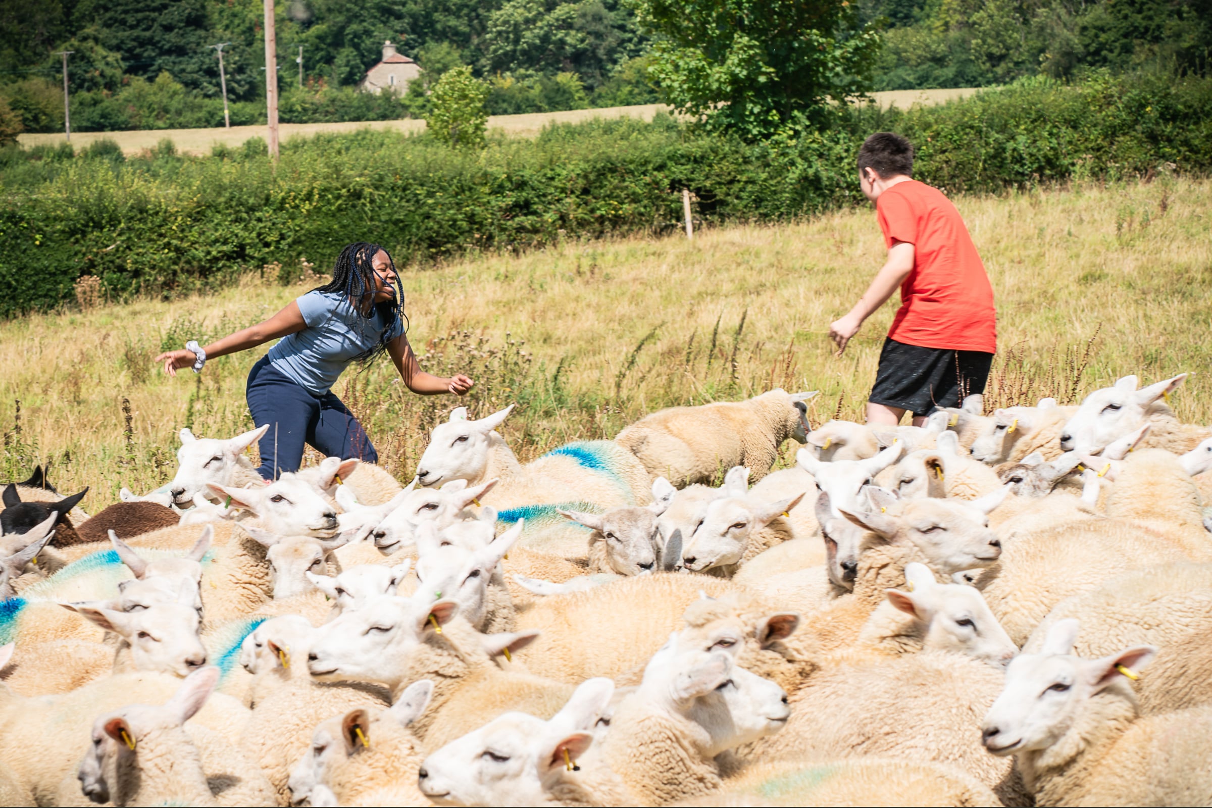 Two young people laughing herding sheep