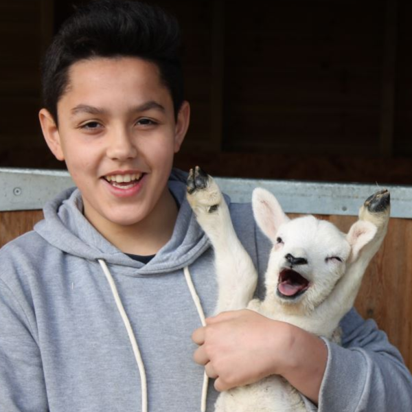 Jamie's Farm - Equipping young people to thrive - Home