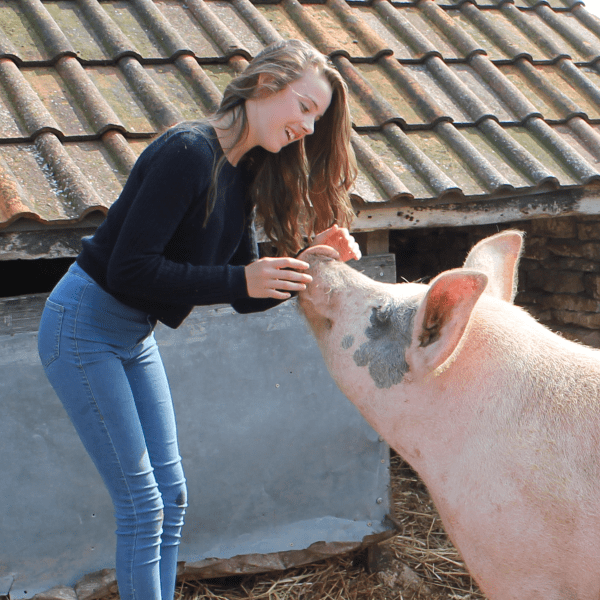 girl with pig