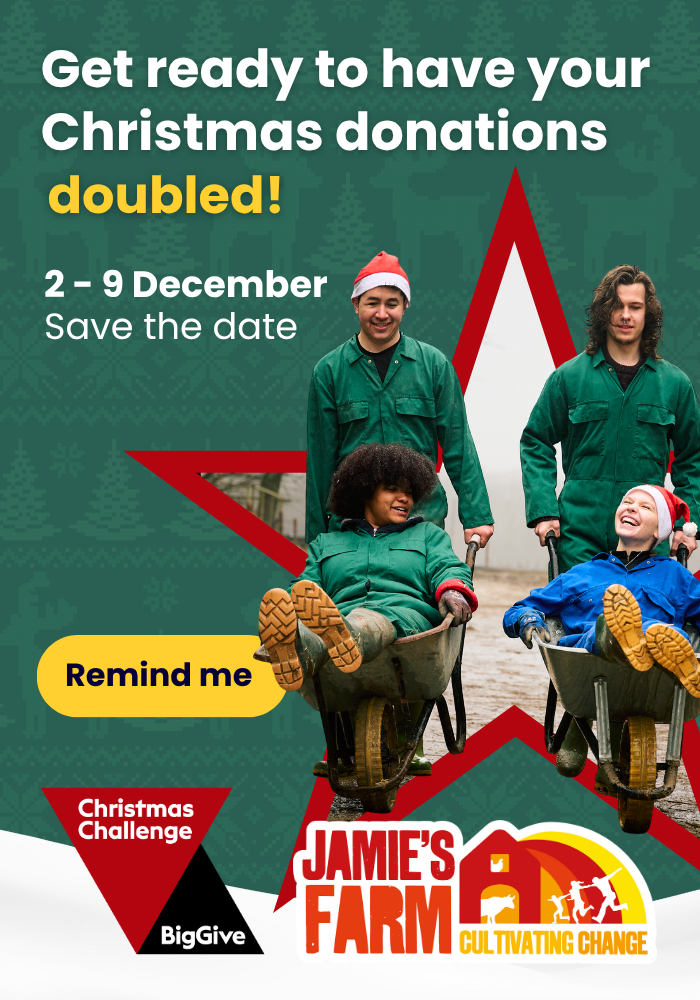 A pop banner showing 2 young people dressed in overall pushing 2 other young people in wheelbarrows. All are smiling and one is wearing a Christmas hat. 