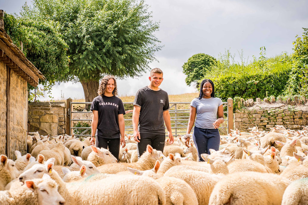 Three young people standing amongst a flock of sheep at Jamie's Farm Hill House farm in Bath.
