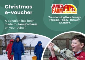 Text reads 'Christmas e-voucher'. Includes a picture of child bottle feeding a lamb and children in the snow.