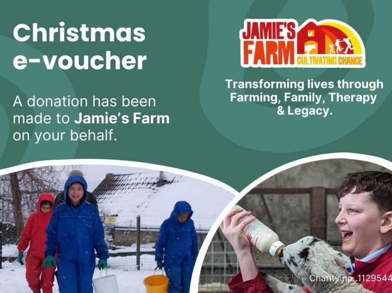 Text reads 'Christmas e-voucher'. Includes a picture of child bottle feeding a lamb and children in the snow.