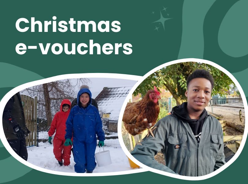 The perfect gift: Christmas e-vouchers