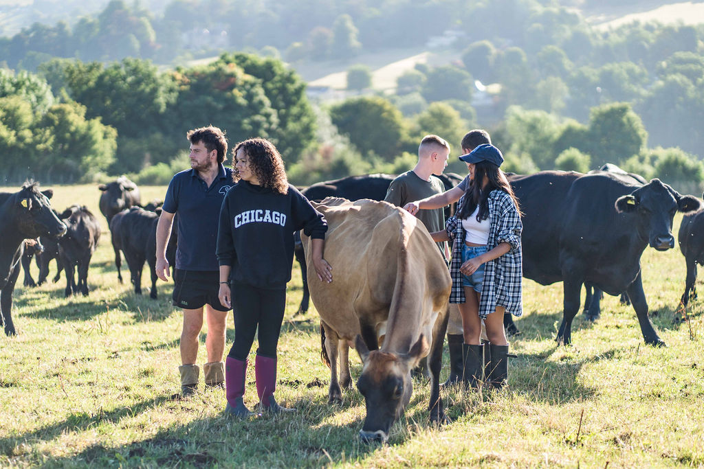 Four people around a heard of cows with trees and fields behind them.