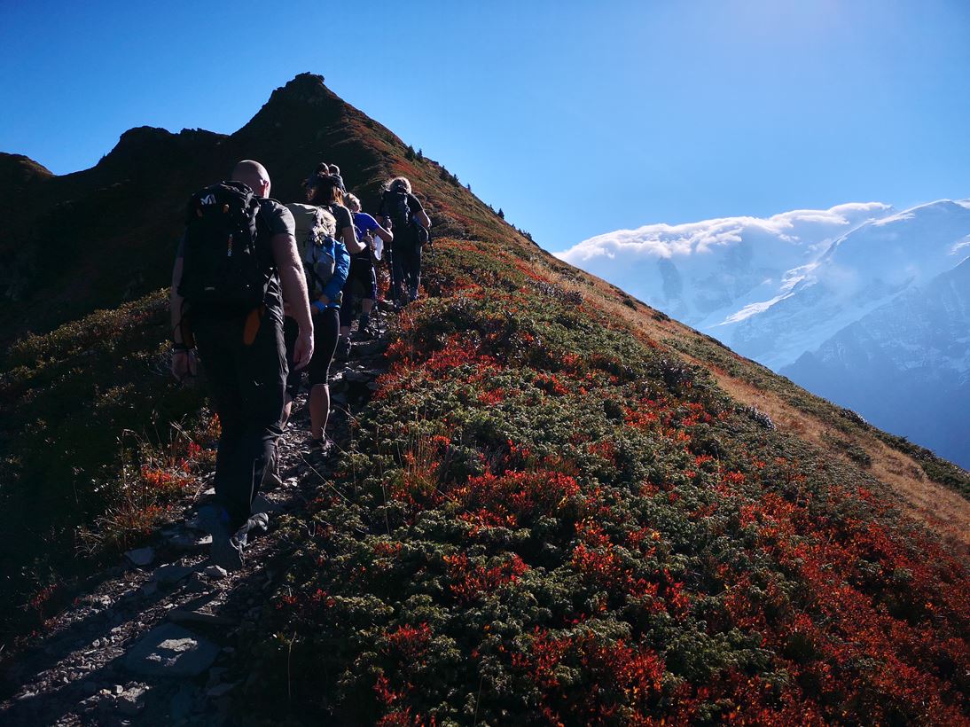 Hikers walking up a mountain with red and green vegetation in the Alps 