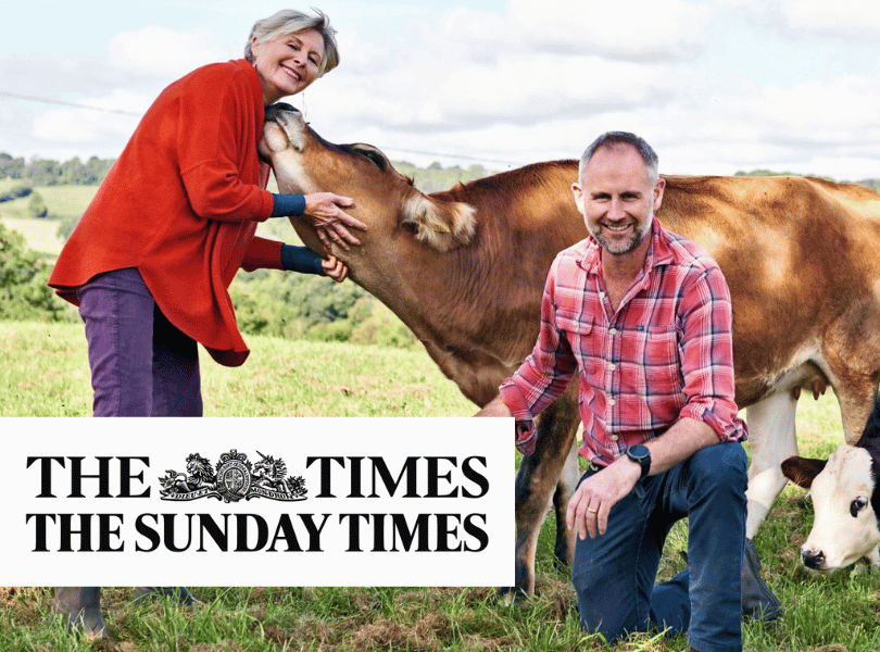 Tish Feilden being tickled by a jersey cow with Jamie kneeling in front.