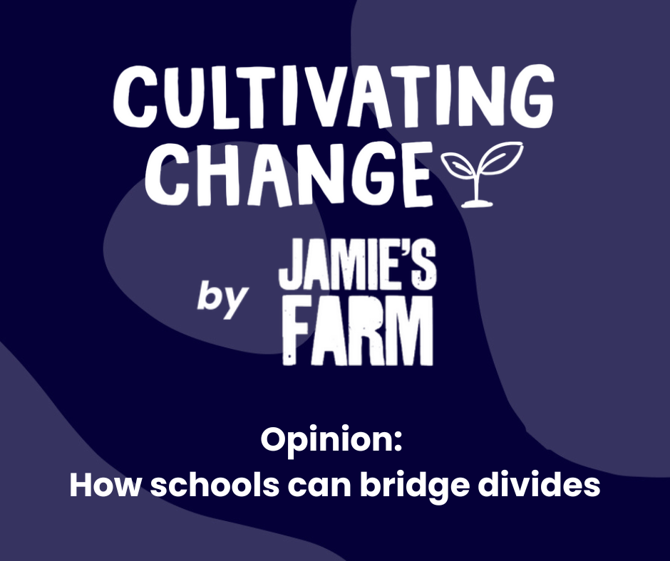 Opinion: How schools can bridge divides