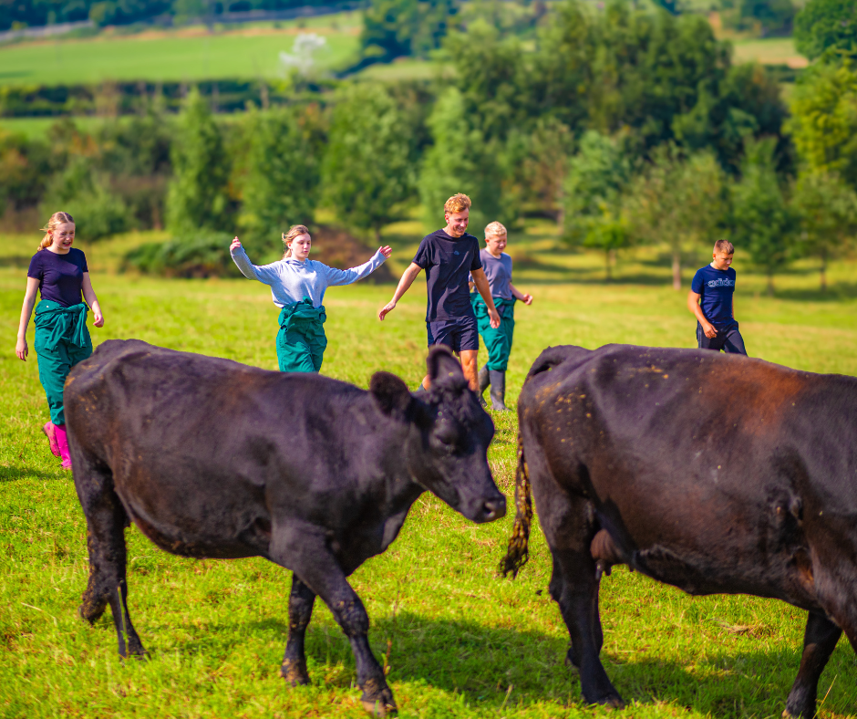 A New Chapter in a Familiar Valley: Jamie’s Farm Bath, Lower Shockerwick