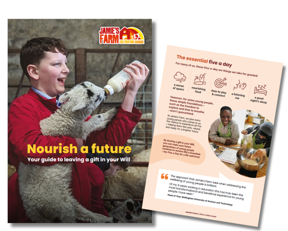 A screen shot of the front cover of the Gifts in Wills guide. 