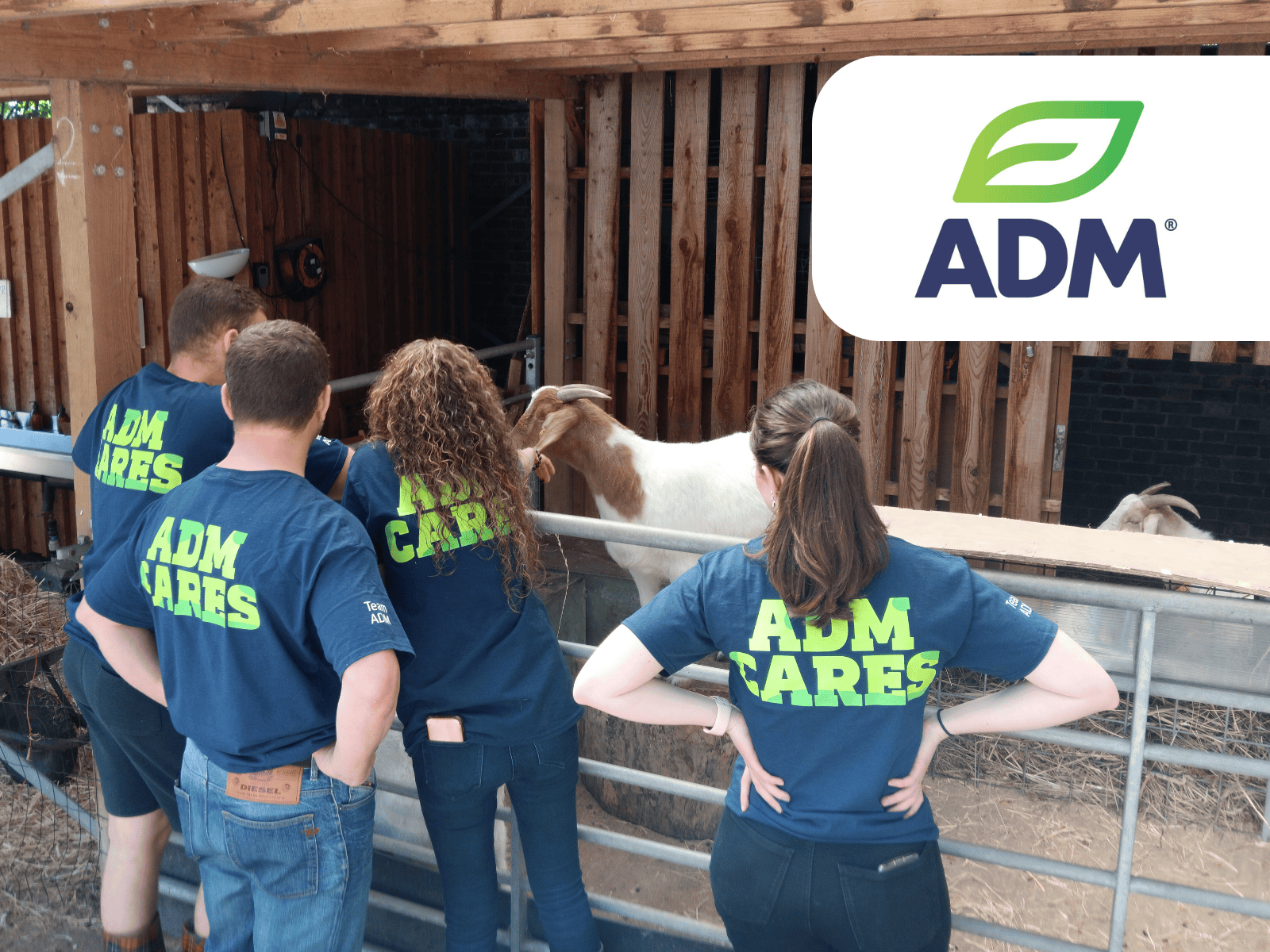 Members of the ADM team looking over a gate and itneracting with goats at Jamie's Farm
