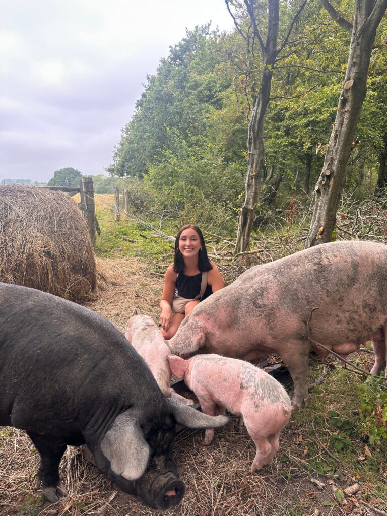 Woman smiling at the camera crouched down beside four pigs in a woodland.