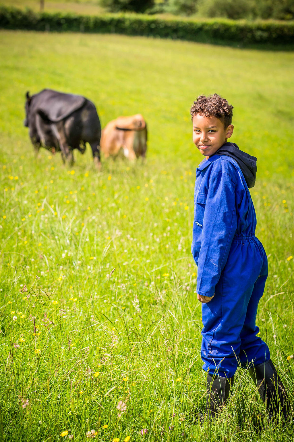 A boy in blue overalls in a field of lush green grass and wild flowers with two cows in the background