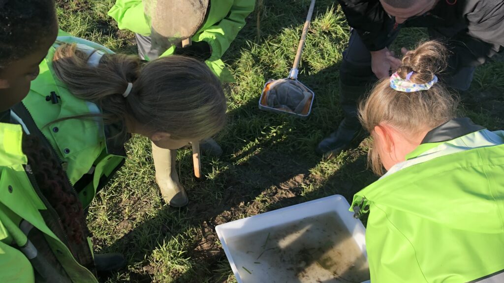 Young people searching for invertebrates.